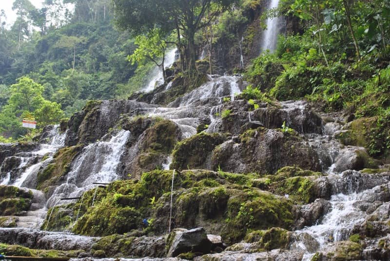 cuban sewu