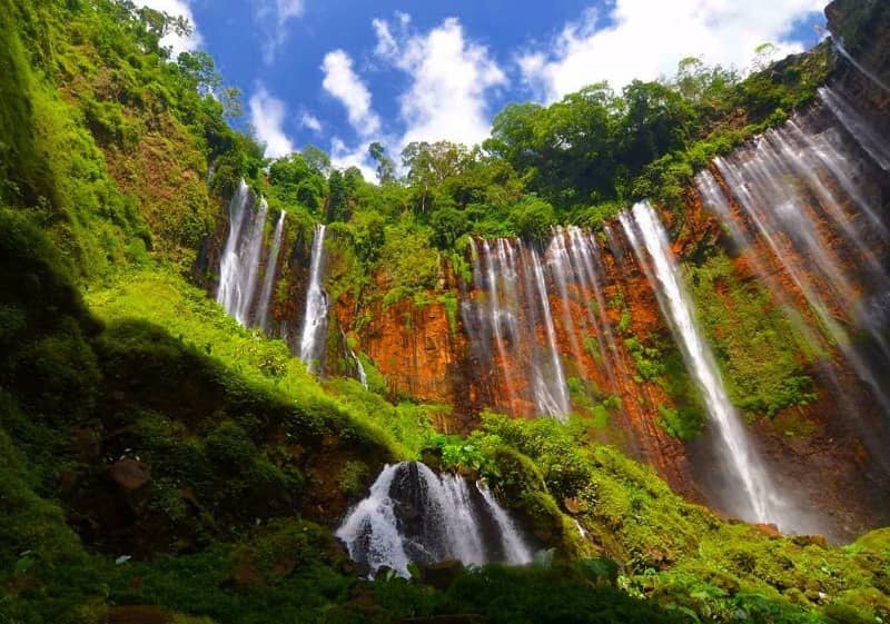 cuban sewu