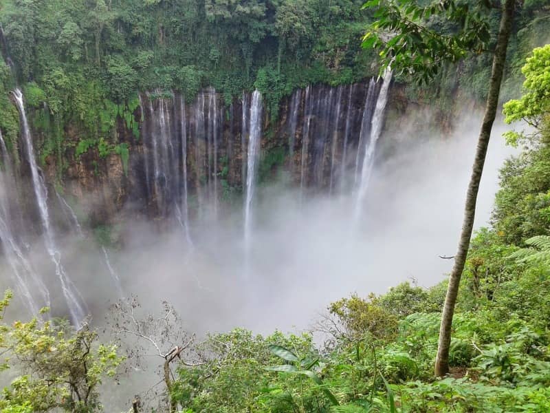 cuban sewu