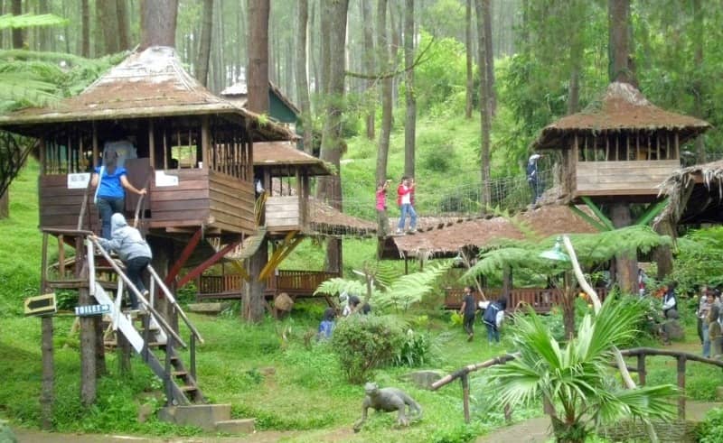rumah pohon bekasi