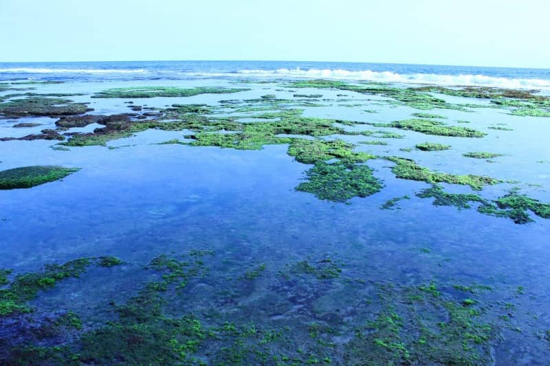 wisata di yogyakarta