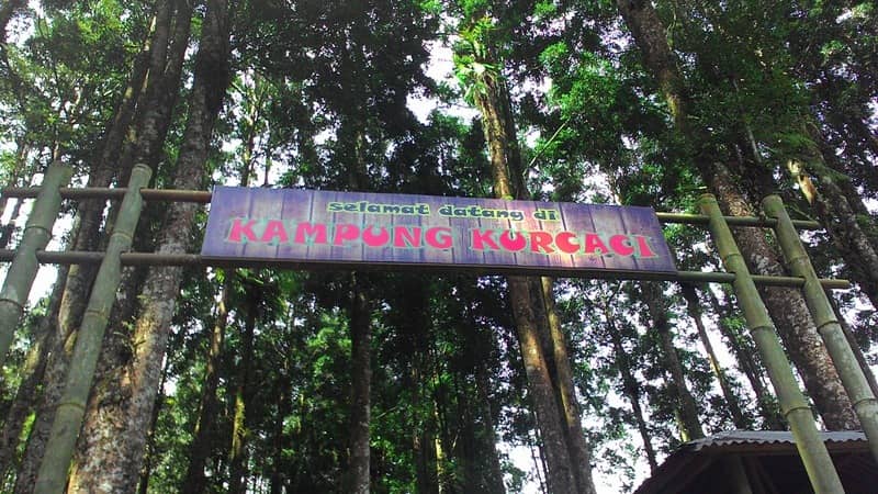 kampung kurcaci purbalingga